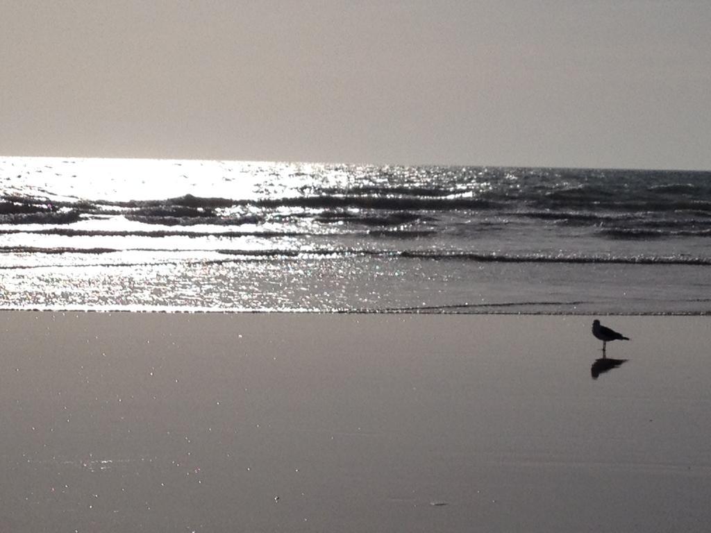 Vendee Vue Mer Saint-Hilaire-de-Riez Zewnętrze zdjęcie